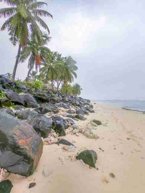 Beach at Edgewater Resort with palm trees and black rocks on a rainy day