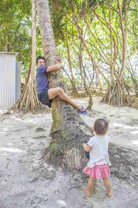 Daddy try to climb up a coconut tree, and failed with toddler watching him making funny faces