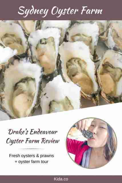 Where to find the best and freshest Oyster Farm in Sydney Featured