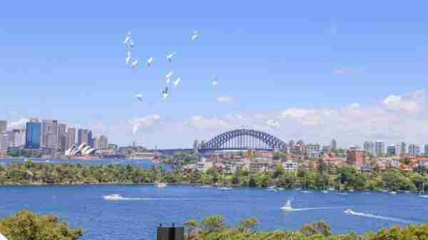 Sweeping Harbour View at Sydney Taronga Zoo Australia zoos in Sydney