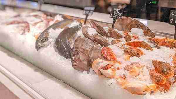 Auckland-Fish-Market-Fishmonger-Sanford-Sons-Seafood-Lover-Foodie-Review-Travel-Guide