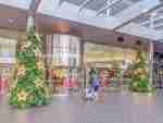 Auckland Skycity Christmas Tree Family with Toddler