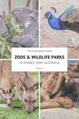Complete Guide Zoo Wildlife Parks Sydney NSW Australia Family Travel Kids Featured