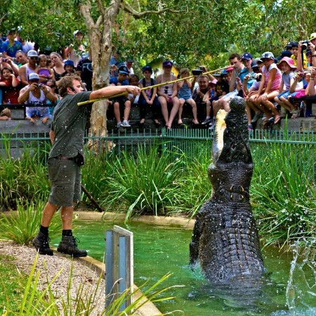 australian reptile park somersby