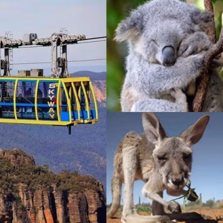 blue mountains featherdale wildlife park sydney day tour