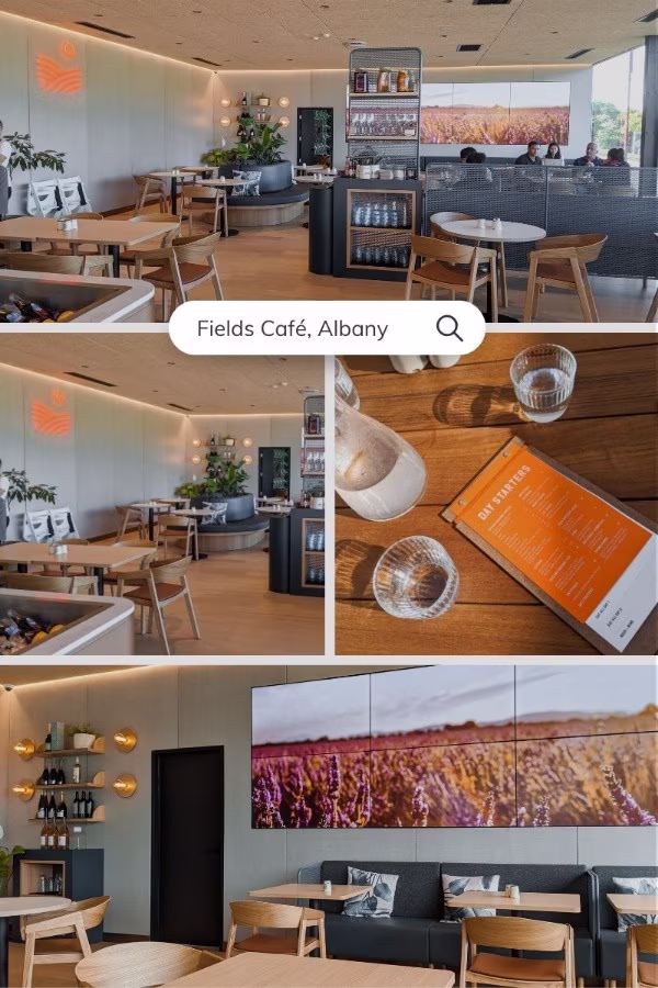 fields cafe with playground in auckland for kids family review featured