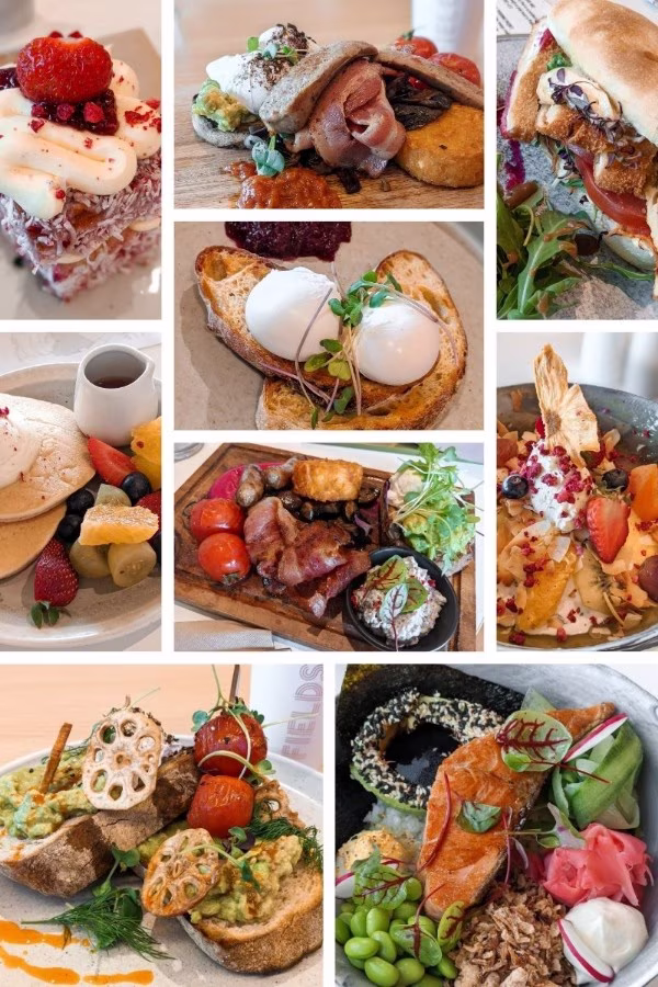 fields cafe with playground in auckland for kids review featured