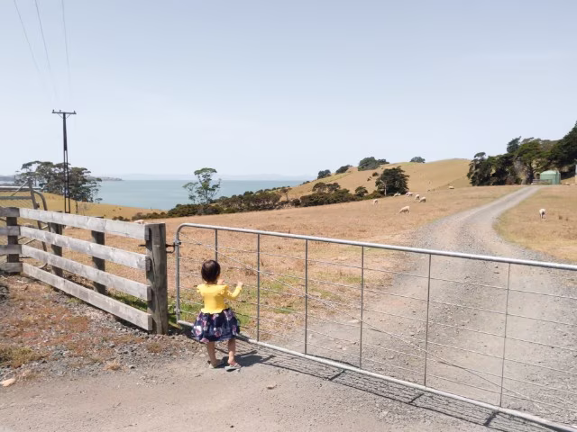 road trips with toddler tech free activities