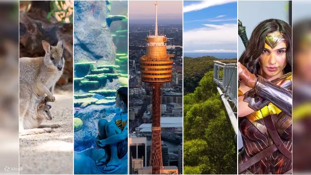 sydney attraction passes