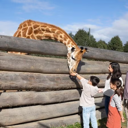 sydney zoo