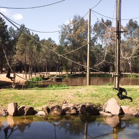taronga western plains zoo dubbo