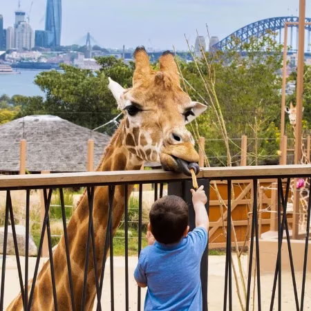 taronga zoo tickets and combo passes