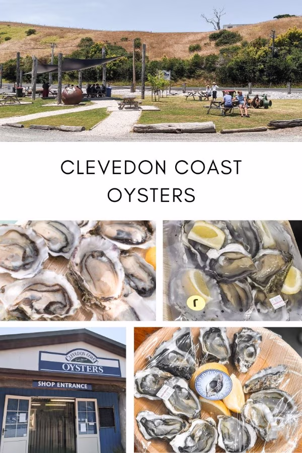 Chilled Half Shell Clevedon Pearls & Jumbo Oysters clevedon coast oysters featured
