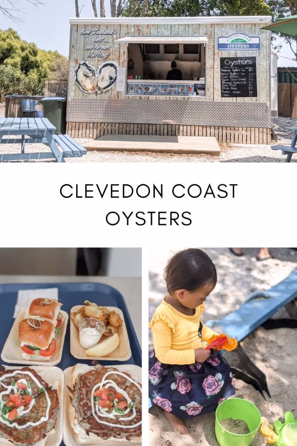 clevedon coast oysters galley featured