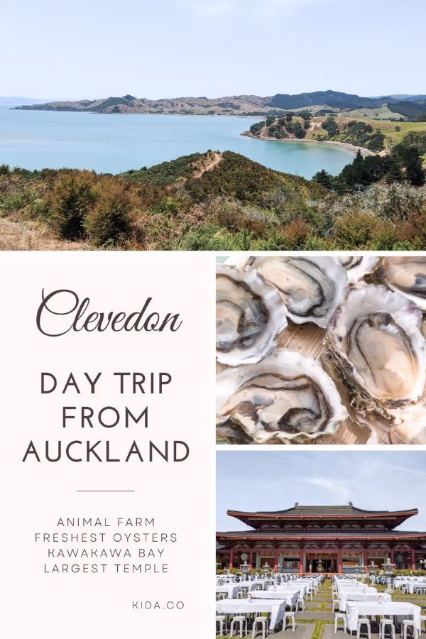 day trip from auckland clevedon featured