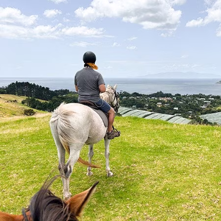 horse trek waiheke