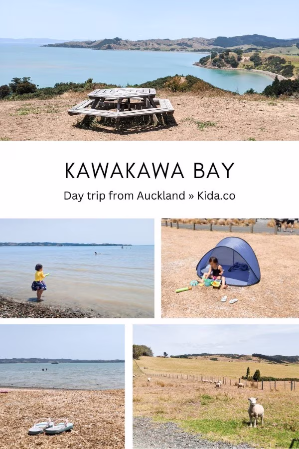 kawakawa bay day trip from auckland featured