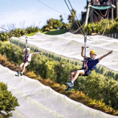zipline adventure waiheke