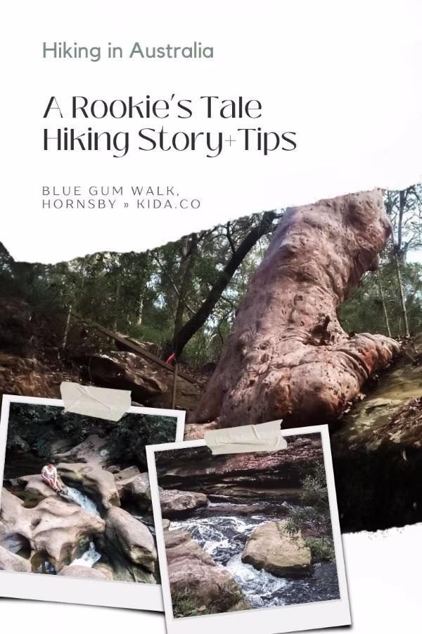 Hiking Australia Blue Gum Walk Hornsby Story Tips Travel Guide Kida Featured