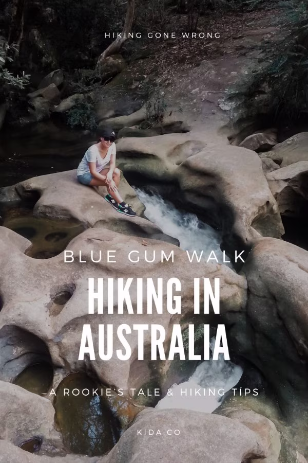 Hiking Blue Gum Walk Hornsby Australia Story Tips Travel Guide Kida Featured