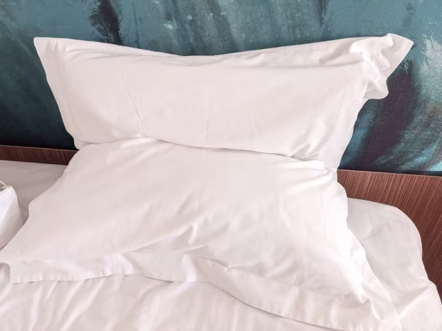 Novotel Hamilton Tainui Review European Pillow Travel Blog Kida