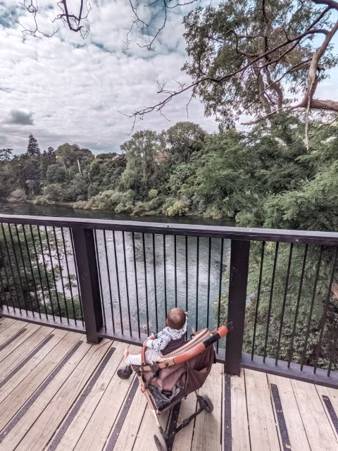 Novotel Hamilton Tainui Review Riverside Waikato Hotel Accommodation Travel Blog Kida