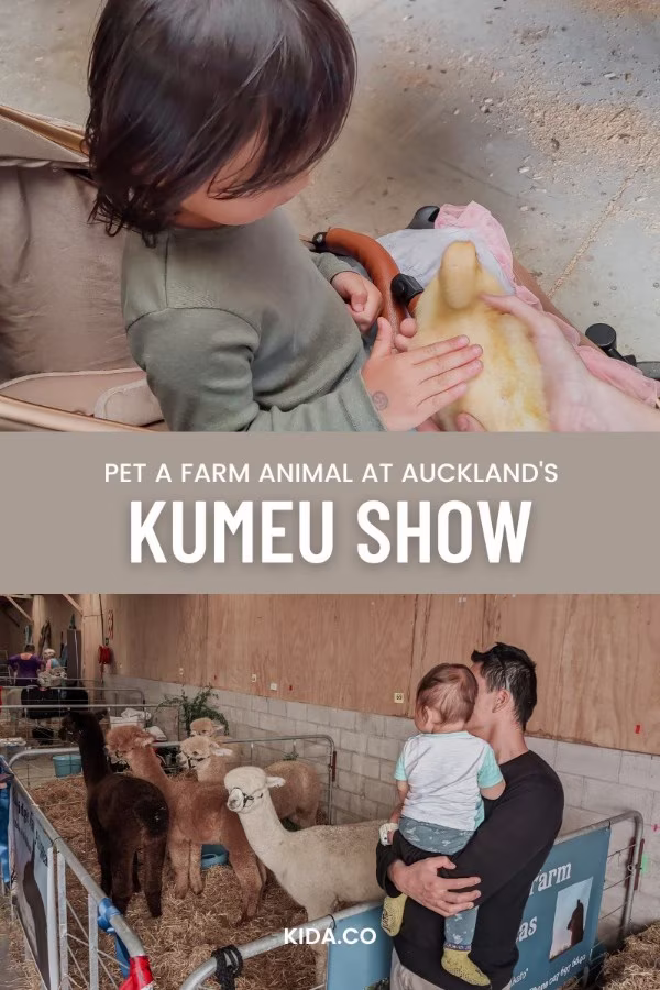 Kumeu Show Auckland Easter Farm Animals Family Day Out Review Things To Do New Zealand Blog Kida