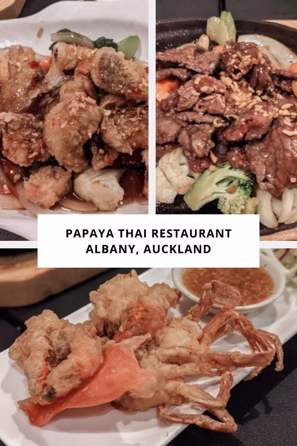 Papaya Thai Restaurant Albany Auckland Review Food Blog Kida