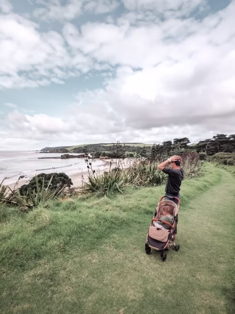Tawharanui Regional Park Auckland Anchor Bay Family Guide Blog Kida