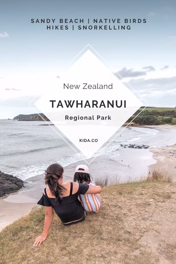 Tawharanui Regional Park Native Birds Beach Auckland Blog Kida Featured