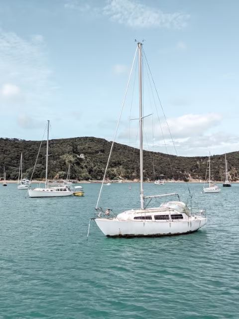 Kawau Island Cruise Matakana Goat Island Things To Do Activities Attractions Travel Blog Kida