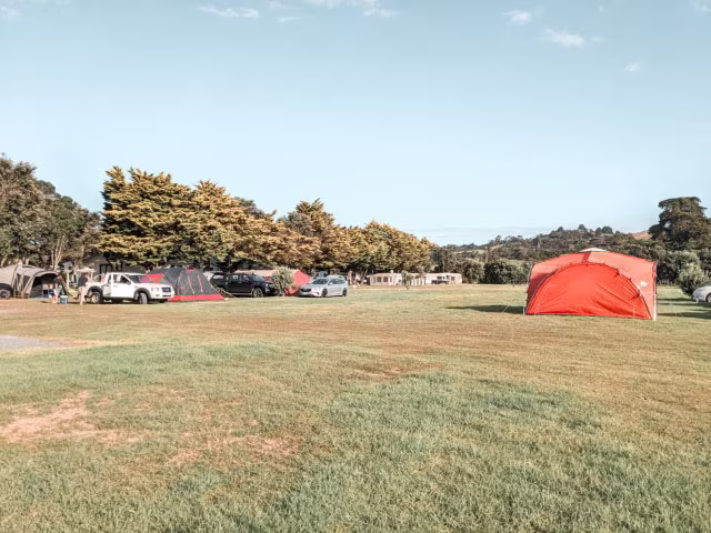 Pakiri Beach Holiday Park Review Sites Family Things To Do Attraction Kids Activities Goat Island Auckland New Zealand Travel Blog Kida