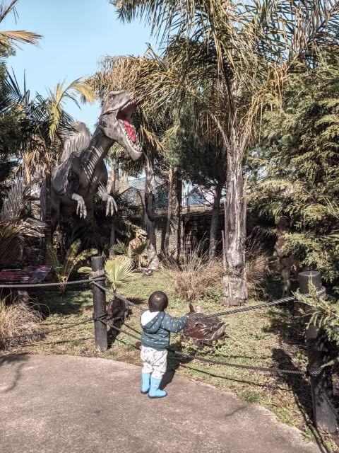 Toddler looking at a dinosaur at Butterfly Creek Dinosaur Display Auckland