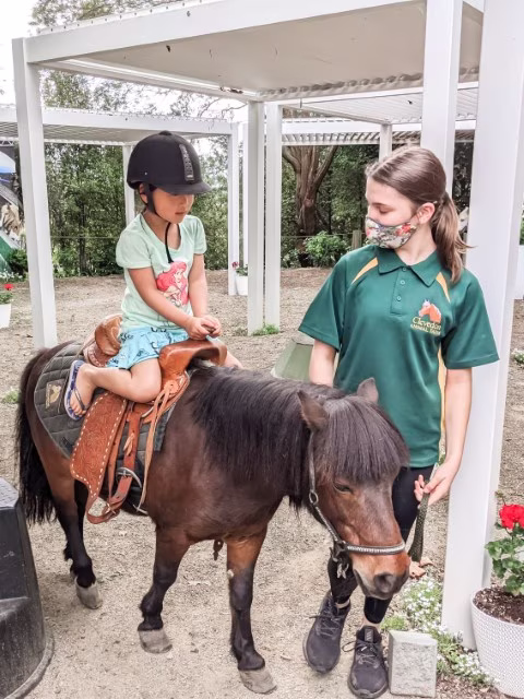 Activities for Animal Lovers in Auckland Pony Ride Attractions Things To Do Wildlife Family Travel Blog Kida