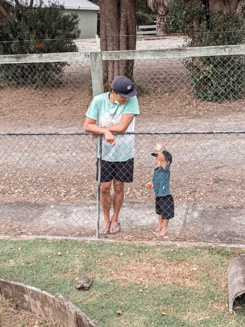 Activities for Animal Lovers in Auckland Reptile Park Attractions Things To Do Wildlife Family Travel Blog Kida