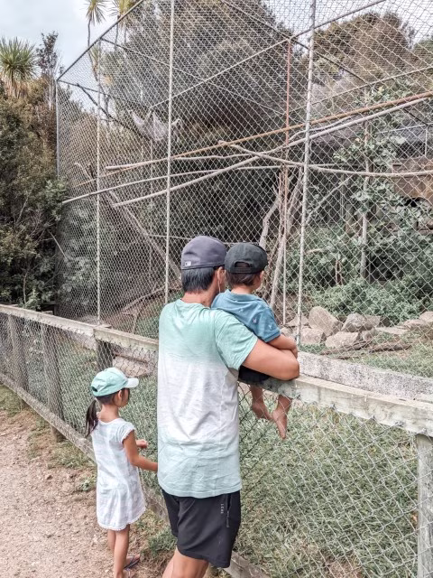 Activities for Animal Lovers in Auckland Ti Point Reptile Park Attractions Things To Do Wildlife Family Travel Blog Kida