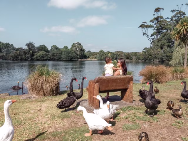 Mother daughter sitting on a bench at Auckland Western Springs surrounded by geese