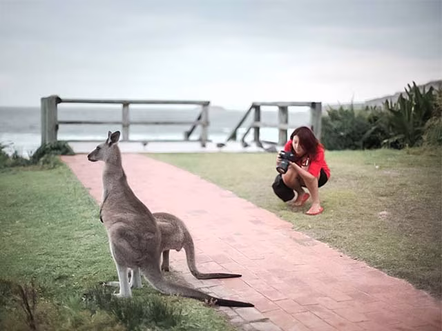 DSLR vs Smartphone Camera or Best Phone Travel Photography Australia Blog Kida