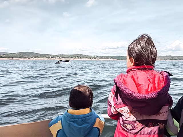 The image captures a beautiful moment of a family on a whale-watching adventure in Tadoussac, Quebec. The family, consisting of two adults and two children, are on a boat, looking out into the vast expanse of the sea with anticipation. The sky is a brilliant blue, and the water reflects the same, creating a serene and picturesque setting. The family's expressions of excitement and wonder suggest they are in the midst of a truly memorable experience.