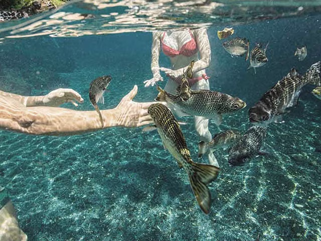 Samoa Travel Guide Piula Cave Pool Blog Kida