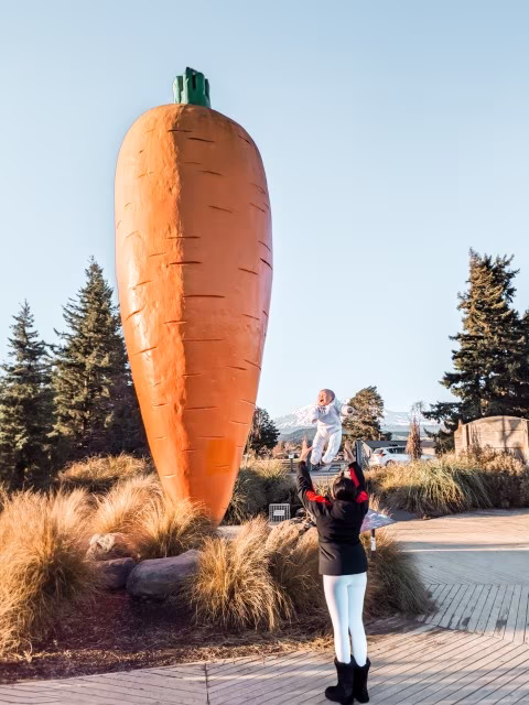 Things To Do In Mt Ruapehu Ohakune Carrot Adventure Park Family Kids Top Attraction Whakapapa Travel Blog New Zealand Kida