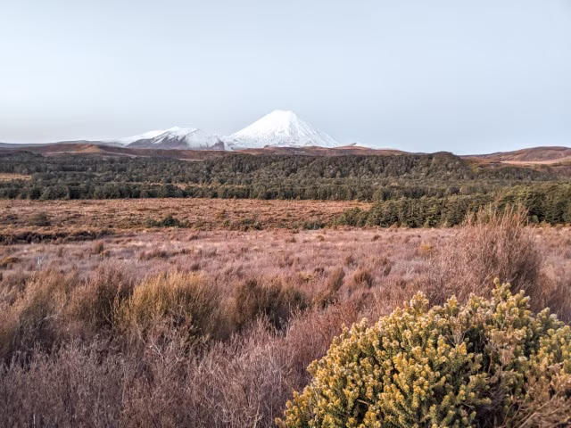 Things To Do In Mt Ruapehu Tongariro Natural Wonder Family Kids Top Attraction Whakapapa Turoa Travel Blog New Zealand Kida