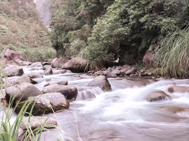 Things To Do In Ruapehu Falls Taranaki Nature Hike Trail Track Walk Travel Blog Kida