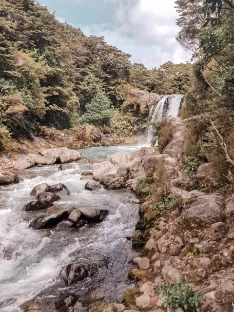 Things To Do In Ruapehu Tawhai Falls Hike Nature Walk Family Travel Blog Kida