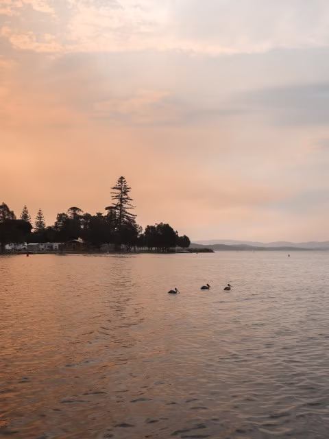 A serene view of Lake Macquarie, a favourite destination for families on the Sydney to Brisbane road trip along the east coast of Australia.