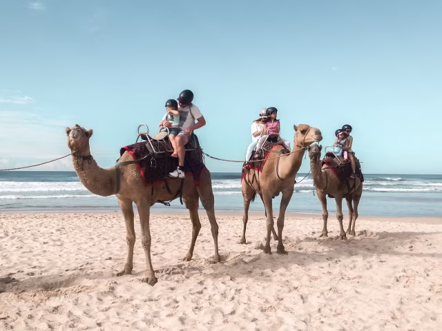 East Coast Australia Sydney to Brisbane Road Trip Must-Stop Things To Do See Port Macquarie Camel Rides Family Travel Guide Kida
