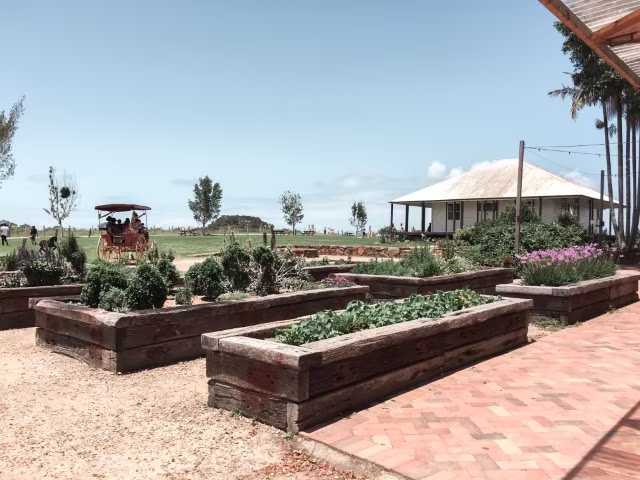 The Farm Restaurant nestled in an animal farm