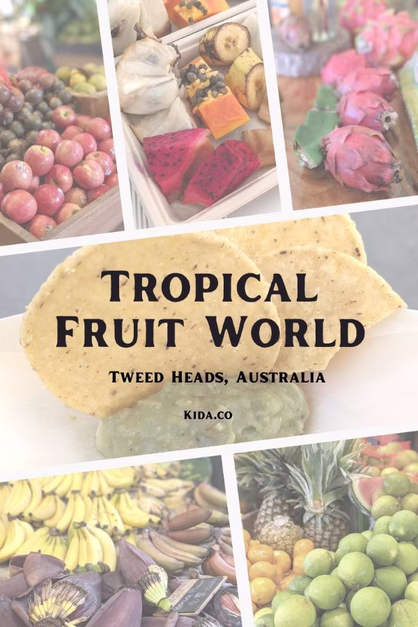 East Coast of Australia Sydney to Brisbane Road Trip Itinerary Tropical World Gold Coast Family Travel Guide Featured