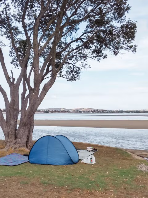 Goat Island Attraction Things To Do Whangateau Reserve Beach Travel Blog Kida