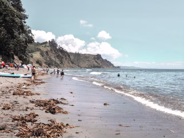 Goat Island Auckland New Zealand Snorkel Beach Marine Reserve Diving Things To Do Travel Blog Kida Cover